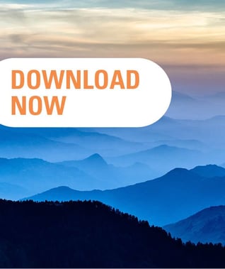 CTA_Download_whitepaper_BI_landscape