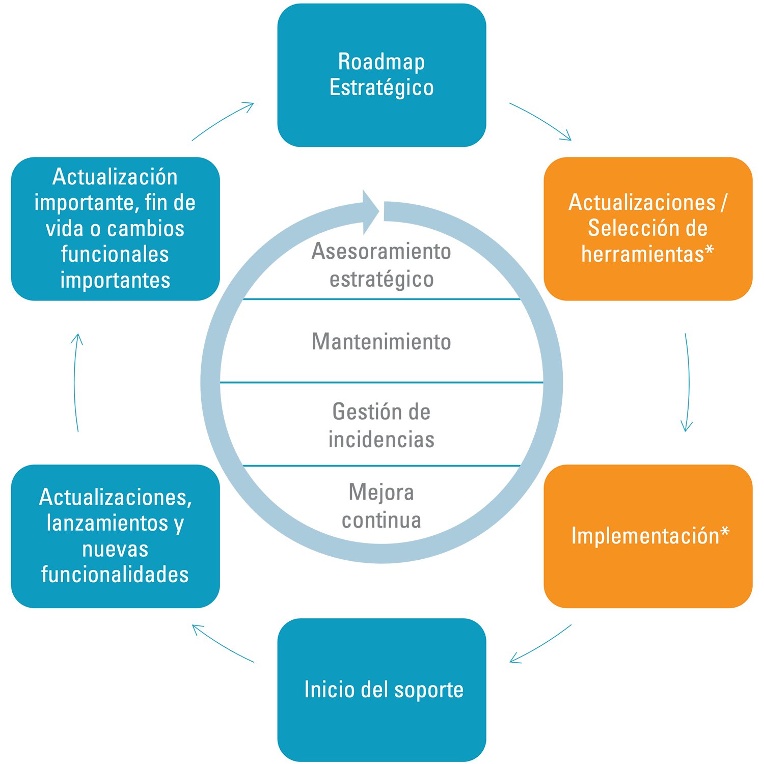 Proceso de gestion del ciclo de vida