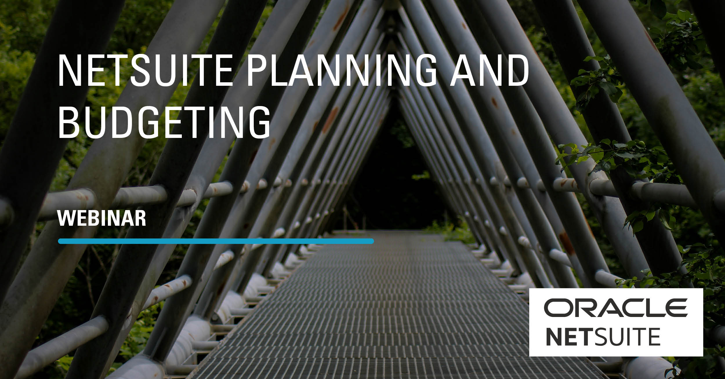 Webinar NetSuite Planning and Budgeting (in Spanish)